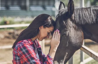 What Are the Best Methods for Building Trust and Bond With My Horse?