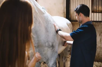 What Are the Signs of Common Health Issues in Horses, and How Can I Prevent Them?