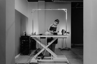 cat grooming techniques guide