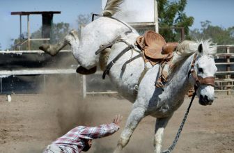 choosing the correct horse saddle