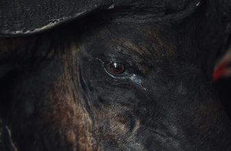 recognizing signs of separation anxiety